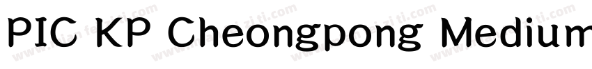 PIC KP Cheongpong Medium KP 97KPS F字体转换